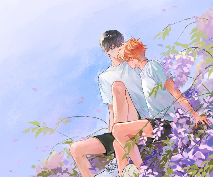 Tobio Kageyama and Shoyo Hinata from Haikyu!!