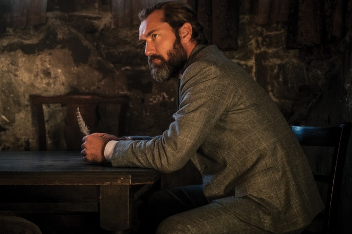 Albus Dumbledore from Fantastic Beasts: The Secrets Of Dumbledore