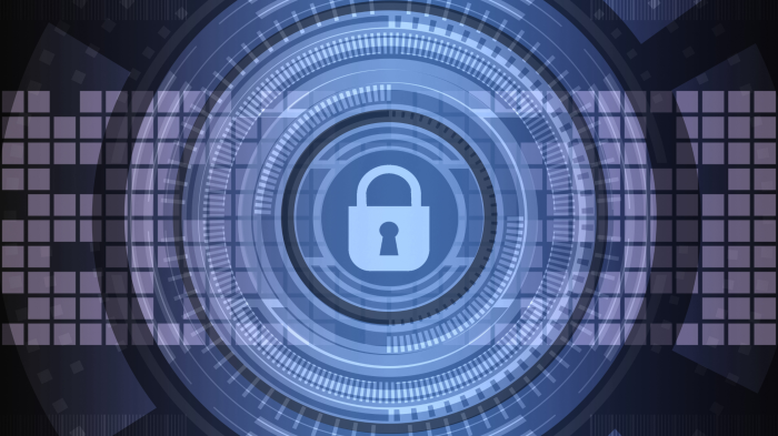 Digital Security Lock Interface