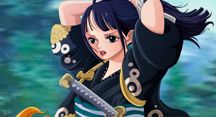 Kikunojo from One Piece