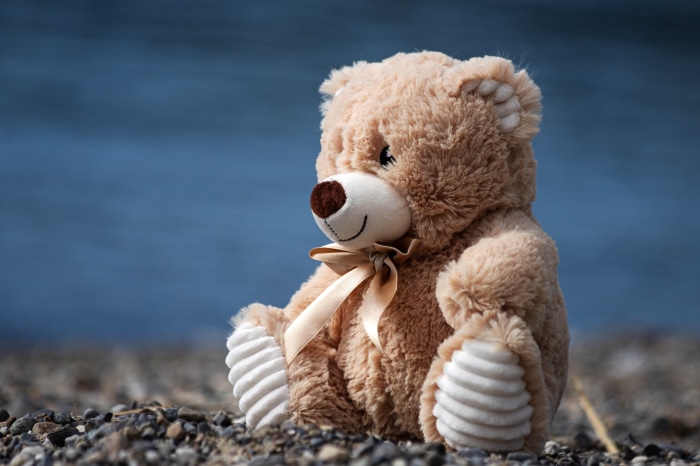 Teddy Bear Sitting on Rocks by Water