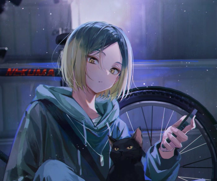Kenma Kozume from Haikyu!! with Black Cat