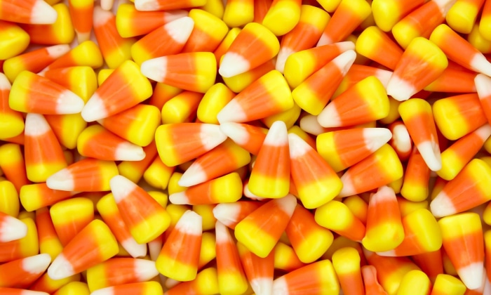 Candy Corn close-up