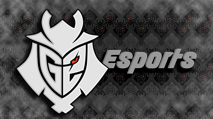 G2 Esports logo with pattern