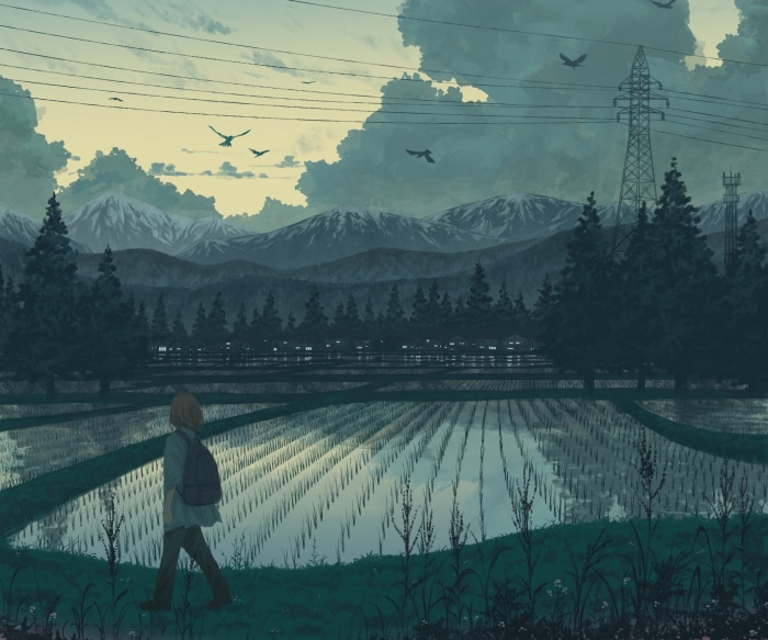 Person walking through rice fields with mountains in background