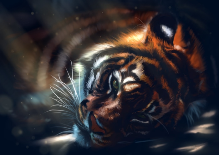 Tiger