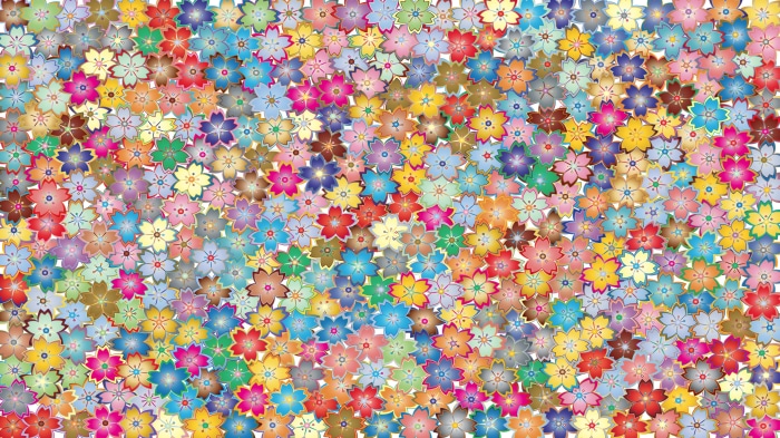 A multitude of colorful cherry blossoms