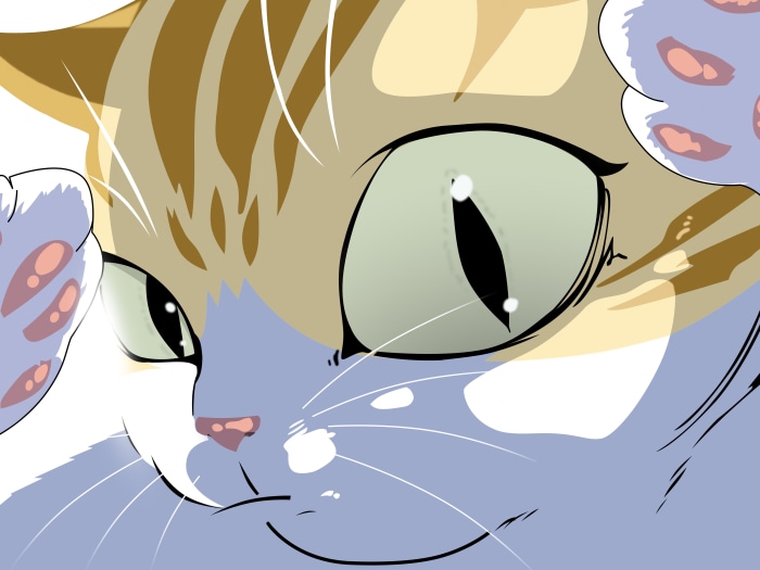 Kayden the cat redraw