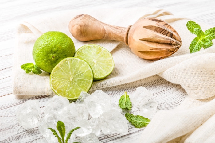Limes, Ice, and Citrus Juicer on Fabric