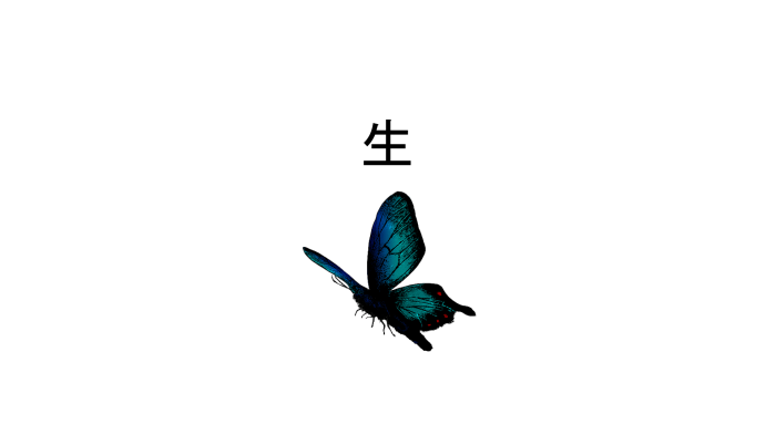 Chinese character for life and a butterfly
