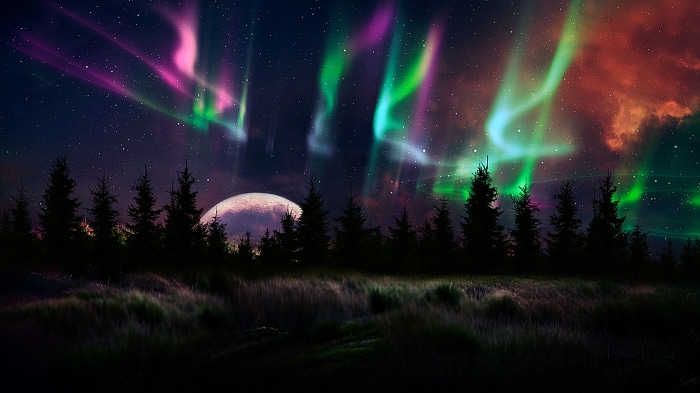 Aurora Borealis over a forest and moon