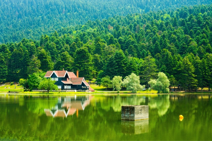 House by a lake with forest background 4K