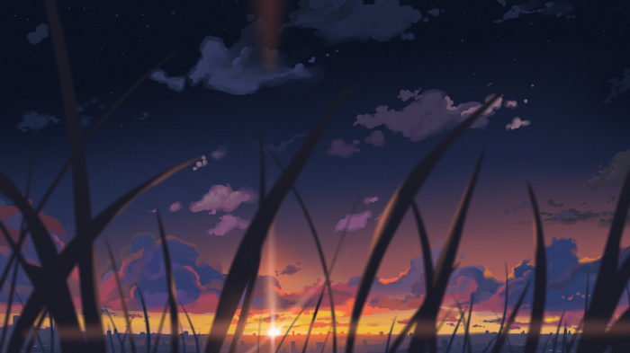 Sunset over a city skyline with grass in the foreground