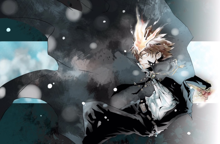 Tsunayoshi Sawada from Katekyō Hitman Reborn!