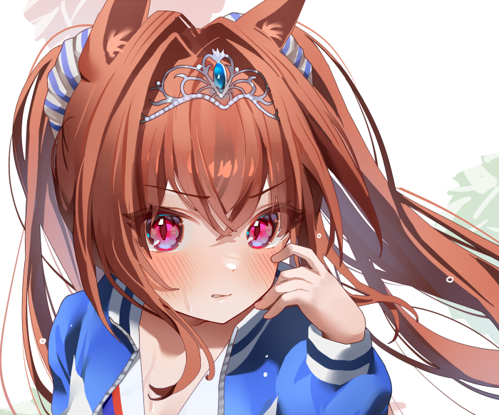 Daiwa Scarlet from Uma Musume: Pretty Derby