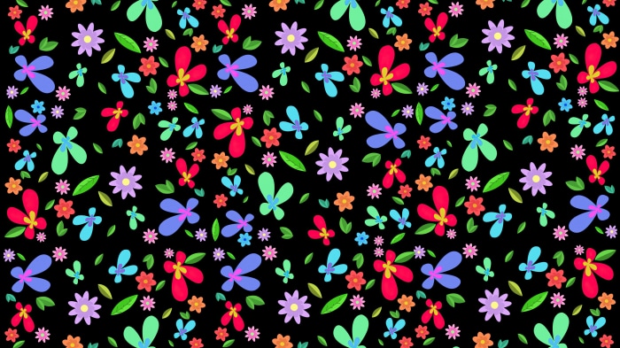 Colorful abstract flowers and leaves on black background
