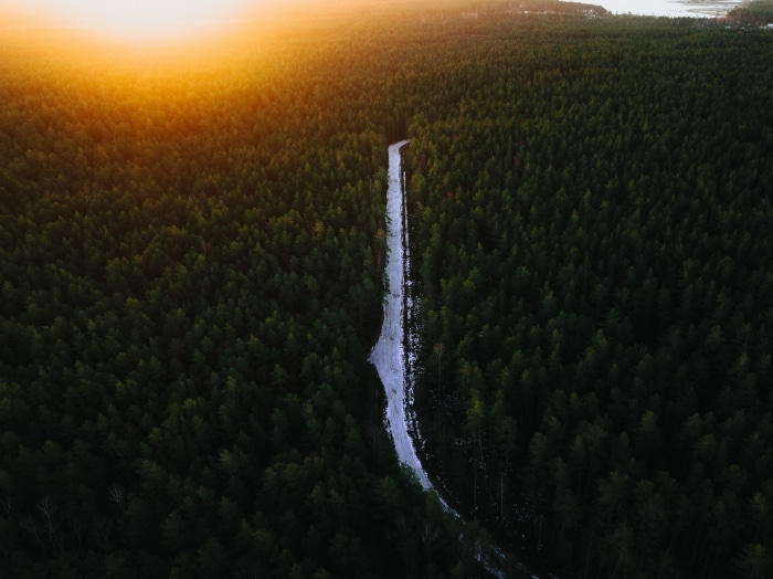 Aerial view of a road through a forest at sunset