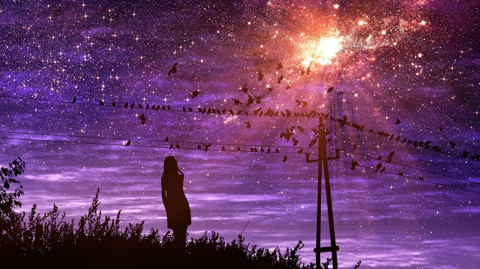 Girl looking at starry sky with birds on wires