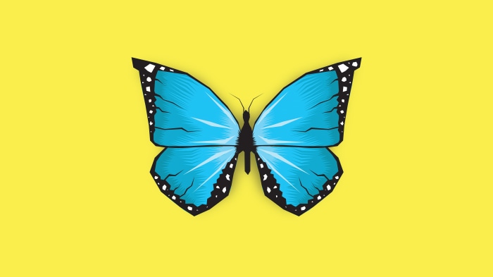 Minimalist blue butterfly on yellow background