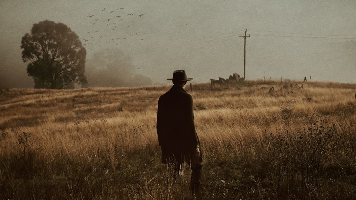 Man in hat in a field with a tree and birds