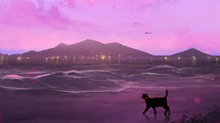 Black cat on a beach at sunset with mountains