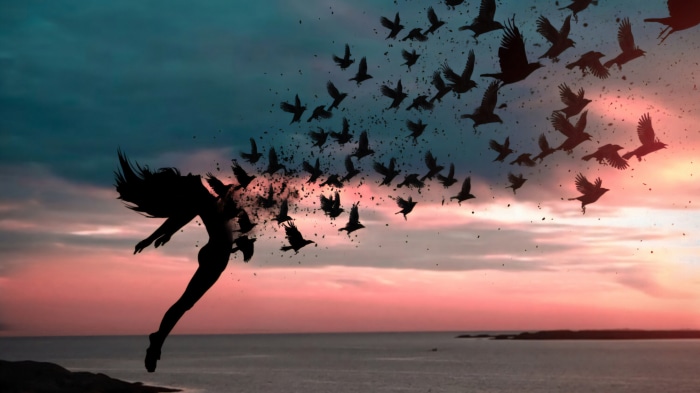 Silhouette of a woman dissolving into birds at sunset