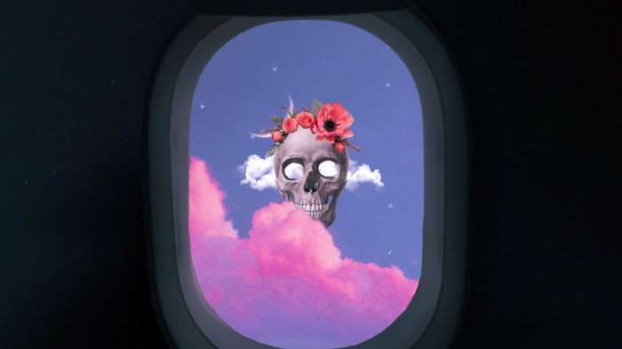 Skull with flowers in airplane window