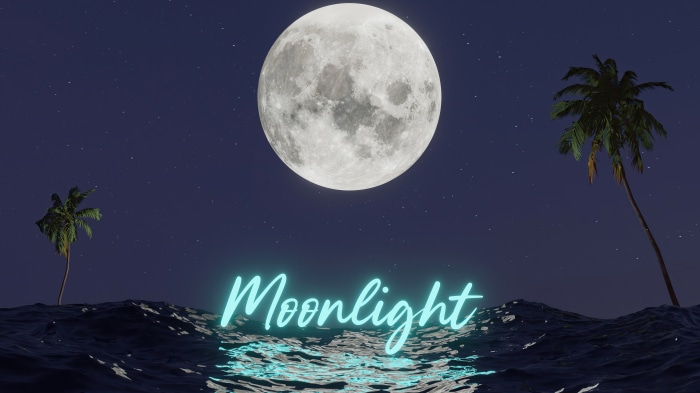 Moonlight Digital Art 4K