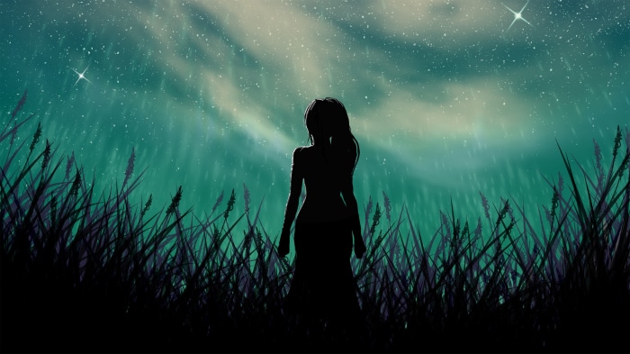Silhouette of a woman in a field under a starry sky