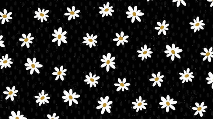 Abstract black background with white daisies and gold centers