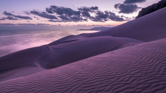 Purple sand dunes by the ocean at sunset
