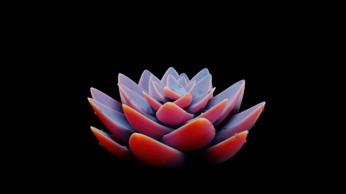 Digital art of a succulent plant with water droplets