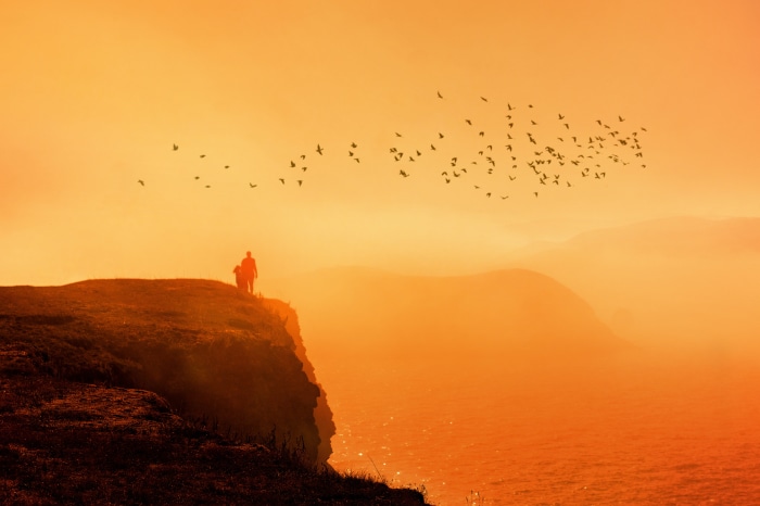 Couple on cliff edge with birds at sunset