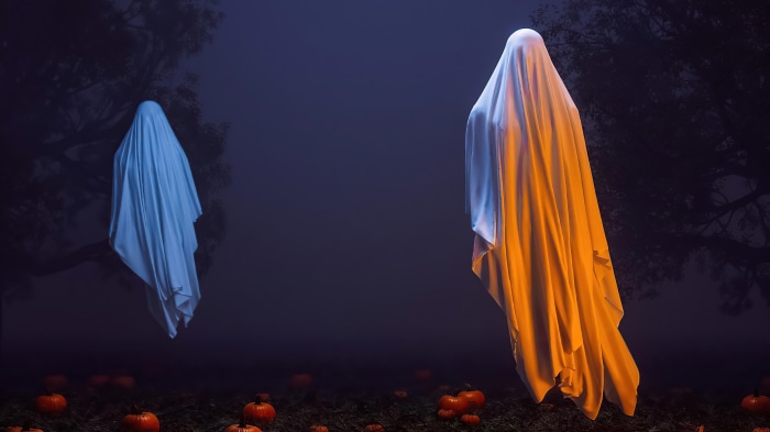Two ghosts in a foggy forest with pumpkins