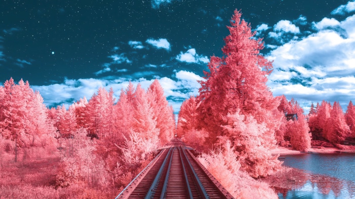 Train tracks through pink forest under starry sky