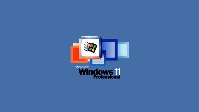 Microsoft Windows 11 Professional logo