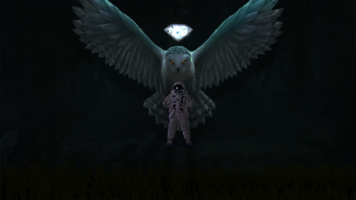 Astronaut and Owl with Diamond