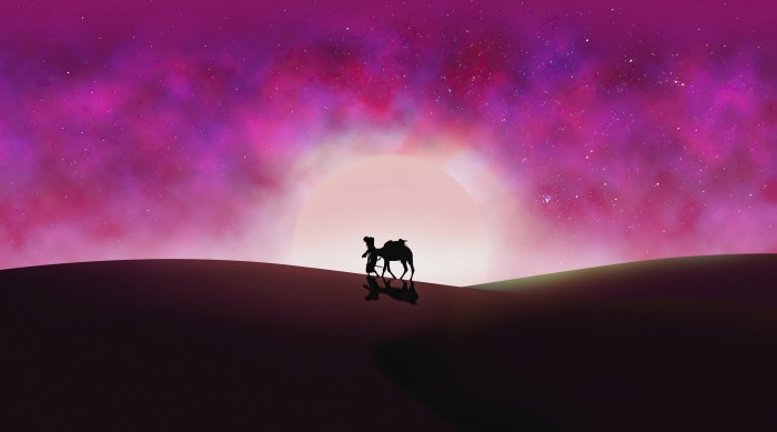 Camel and rider in desert under starry purple sky