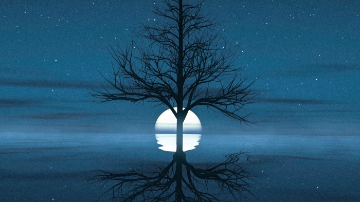 Bare tree silhouette against moonlit sky and water