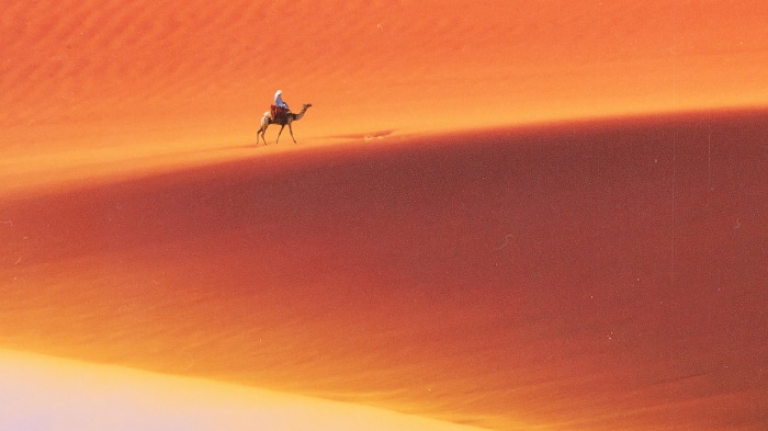 Camel rider in the desert 4K