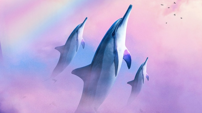Three dolphins swimming in a pastel sky with birds