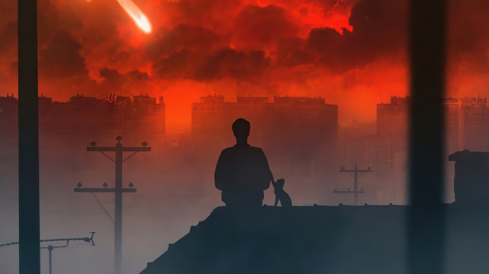 Silhouette of a person and cat on a rooftop with a meteor shower