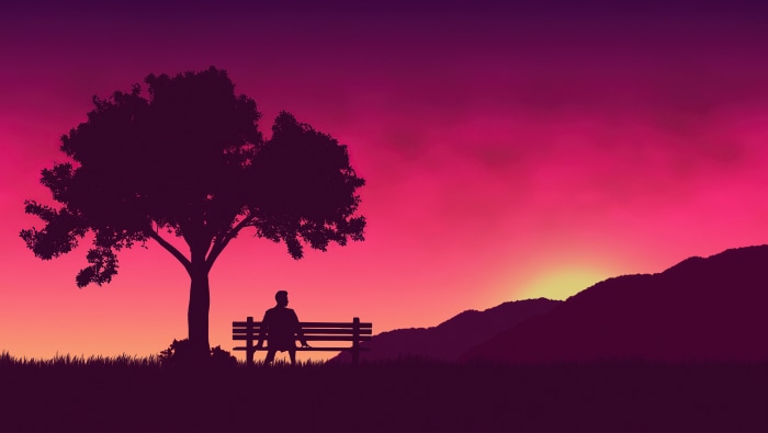Man sitting on bench under tree at sunset