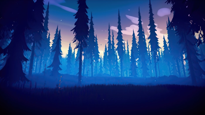 Forest at dusk with tall pine trees