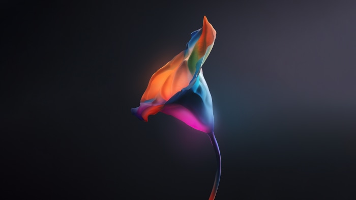 Abstract colorful flower artwork