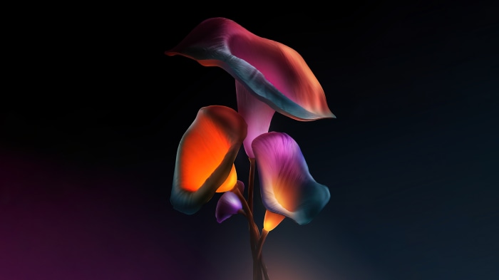 Digital art of glowing, colorful mushrooms