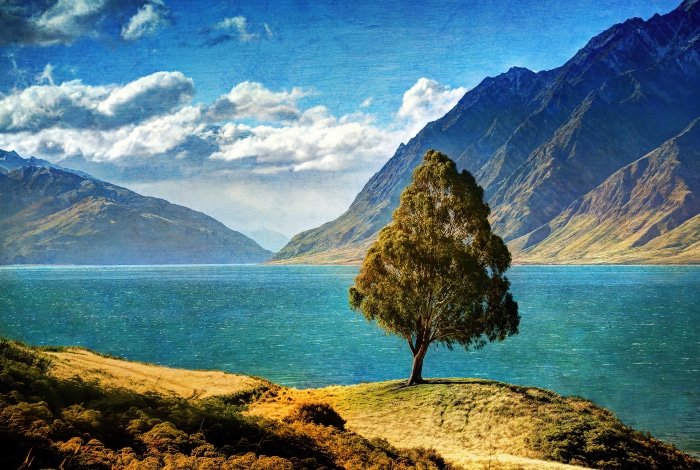 Lake and mountains with a lone tree