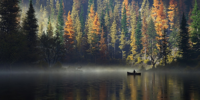 Canoeist on a misty lake with autumn forest and deer
