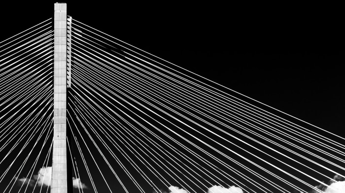 Monochrome bridge cables and pylon