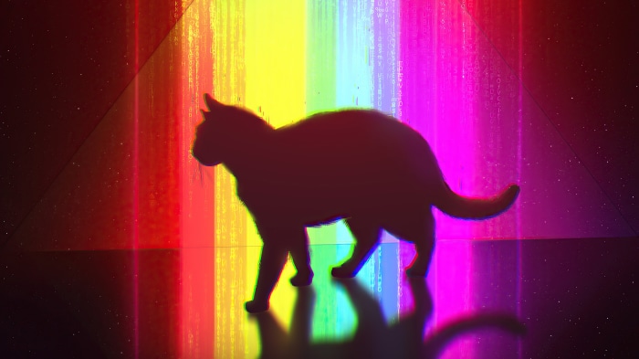Silhouette of a cat against a rainbow digital background